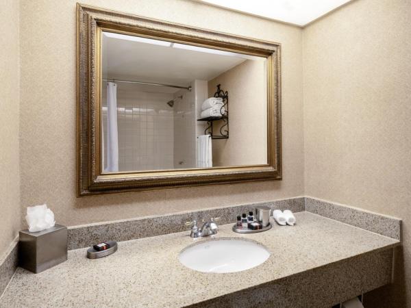 Austin Southpark Hotel : photo 3 de la chambre chambre deluxe avec 2 lits doubles