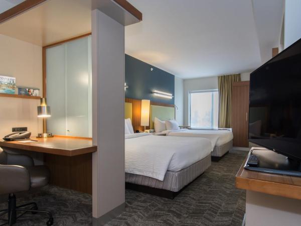 SpringHill Suites Columbia Downtown The Vista : photo 1 de la chambre studio lit queen-size avec canapé-lit