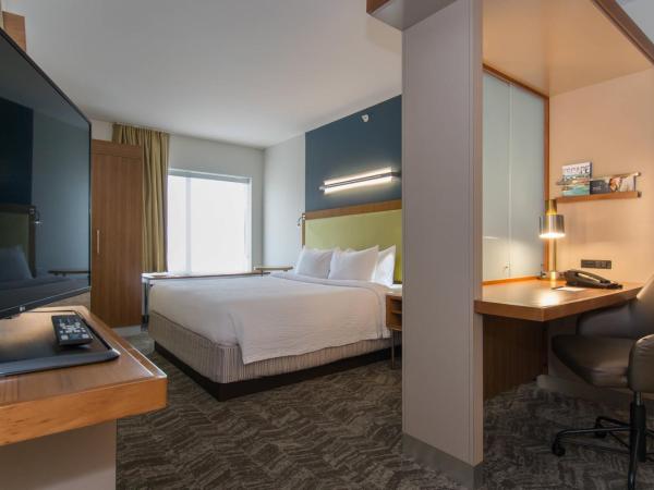 SpringHill Suites Columbia Downtown The Vista : photo 1 de la chambre studio lit king-size avec canapé-lit