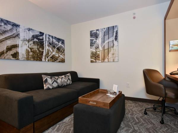 SpringHill Suites Columbia Downtown The Vista : photo 2 de la chambre studio lit king-size avec canapé-lit