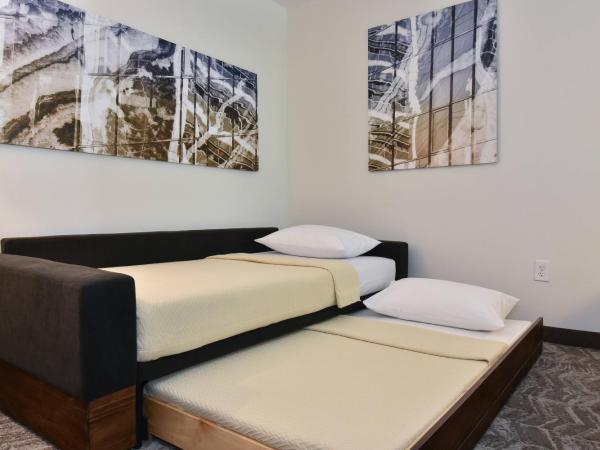 SpringHill Suites Columbia Downtown The Vista : photo 3 de la chambre studio lit king-size avec canapé-lit