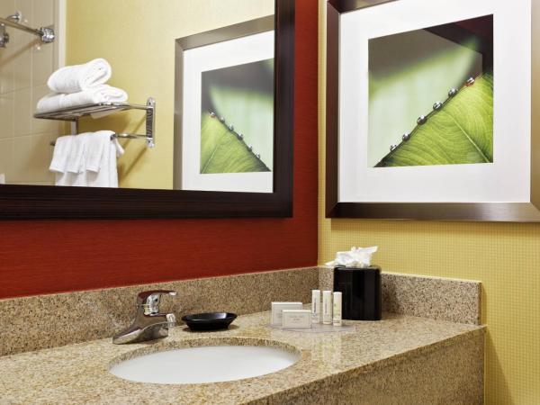 Courtyard Houston/Brookhollow : photo 3 de la chambre chambre lit king-size