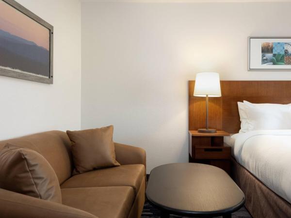 Fairfield Inn & Suites Savannah Airport : photo 3 de la chambre grande chambre lit king-size