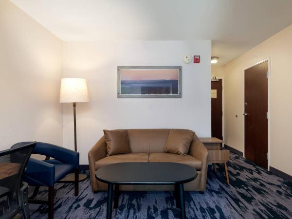 Fairfield Inn & Suites Savannah Airport : photo 4 de la chambre studio lit king-size avec canapé-lit