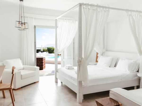 Astro Palace Hotel & Suites : photo 9 de la chambre suite exécutive avec piscine privée