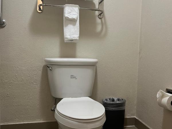 Holiday Inn Houston SW-Near Sugar Land, an IHG Hotel : photo 8 de la chambre chambre standard