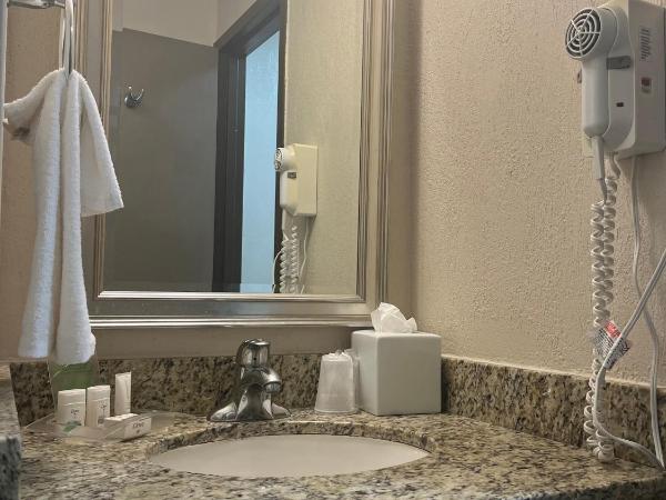 Holiday Inn Houston SW-Near Sugar Land, an IHG Hotel : photo 9 de la chambre chambre standard
