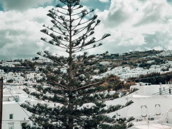 Alana Mykonos : photo 7 de la chambre chambre cosy avec balcon - vue sur chora
