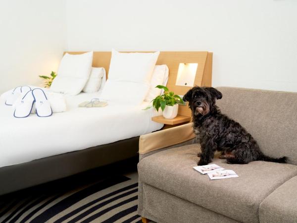 Novotel Milano Nord Ca' Granda : photo 4 de la chambre chambre double exécutive avec canapé-lit