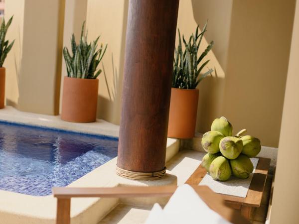 Cala de Mar Resort & Spa Ixtapa : photo 8 de la chambre suite de luxe romantique - côté océan