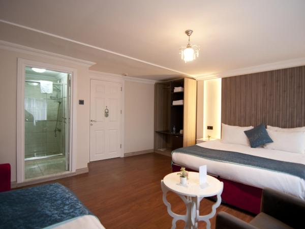 Genius Hotel Istanbul : photo 7 de la chambre chambre triple deluxe