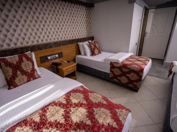 Mevre Hotel : photo 2 de la chambre chambre triple