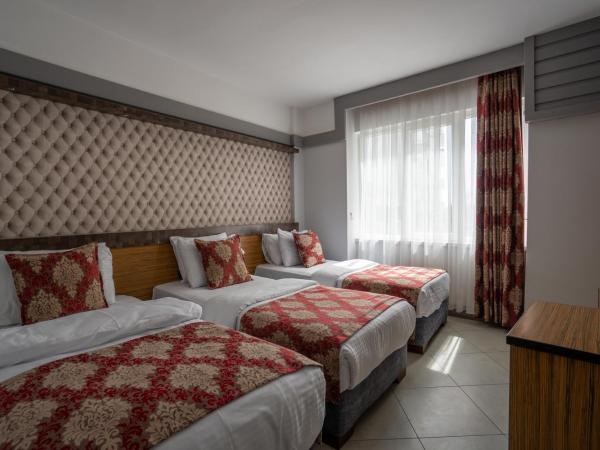 Mevre Hotel : photo 4 de la chambre chambre triple