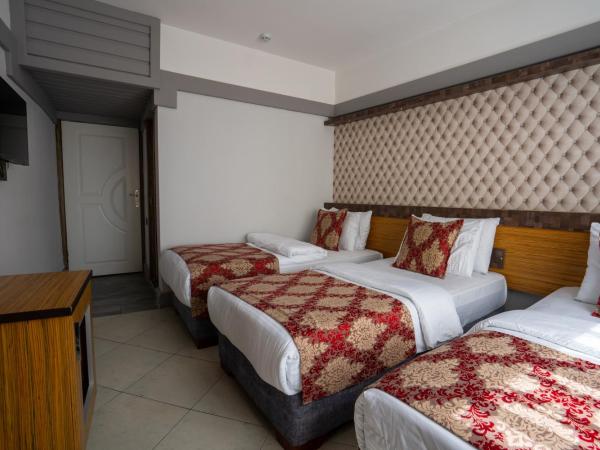 Mevre Hotel : photo 7 de la chambre chambre triple