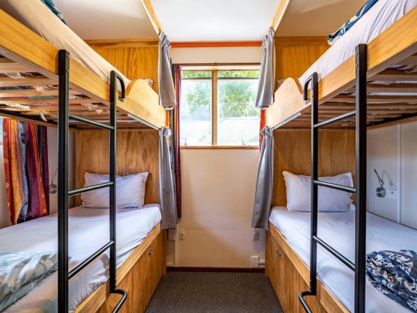 The Flaming Kiwi Backpackers : photo 1 de la chambre lit simple dans dortoir de 4 lits