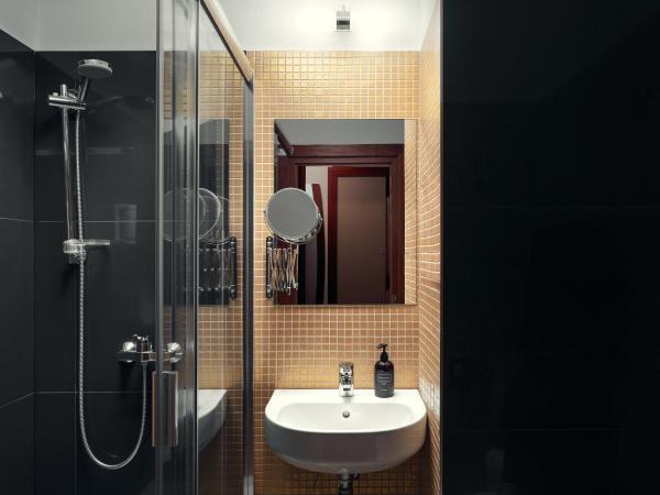 Spa Hotel Villa Smetana : photo 4 de la chambre comfort single room with wellness access