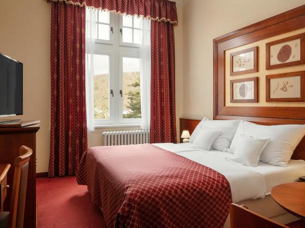 Spa Hotel Villa Smetana : photo 4 de la chambre chambre double ou lits jumeaux confort avec accès au centre de bien-Être
