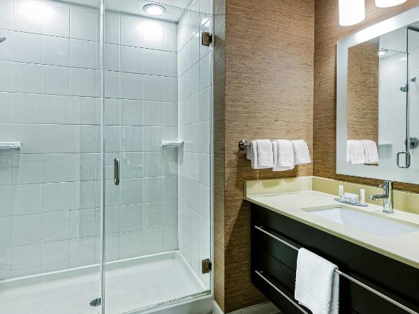 TownePlace Suites by Marriott San Antonio Downtown Riverwalk : photo 2 de la chambre corner king suite with sofa bed and city view