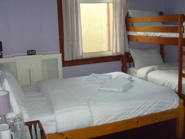 Twin Lions Hotel : photo 2 de la chambre chambre familiale avec salle de bains commune - vue sur jardin