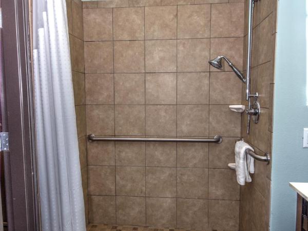 Holiday Inn Express & Suites Austin South, an IHG Hotel : photo 2 de la chambre chambre 2 lits queen-size - accessible aux malentendants