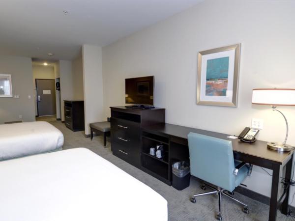 Holiday Inn Express & Suites Austin South, an IHG Hotel : photo 1 de la chambre chambre 2 lits queen-size - accessible aux malentendants