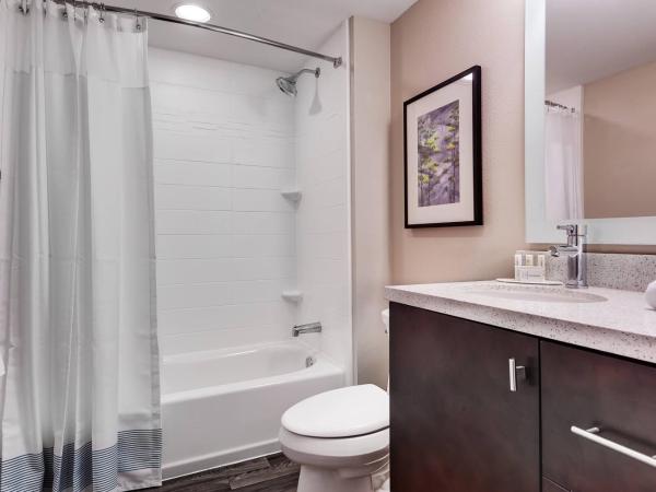 TownePlace Suites by Marriott Austin Parmer/Tech Ridge : photo 3 de la chambre studio avec 2 grands lits