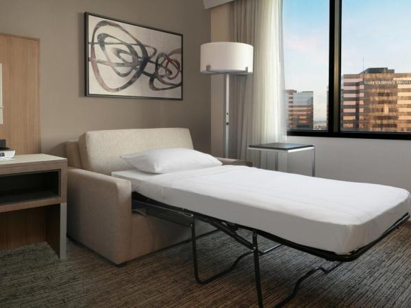 Houston Marriott Medical Center/Museum District : photo 5 de la chambre guest room, king bed with sofa bed