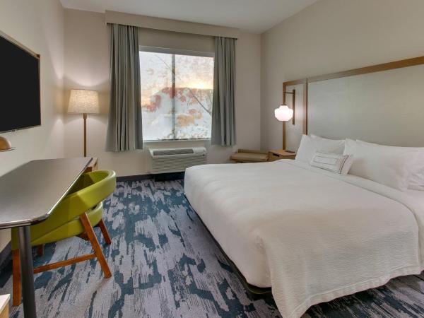 Fairfield Inn and Suites by Marriott Houston Brookhollow : photo 1 de la chambre chambre lit king-size