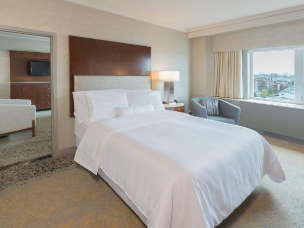 The Westin Nova Scotian : photo 1 de la chambre suite 1 chambre 1 lit queen-size exécutive avec canapé-lit