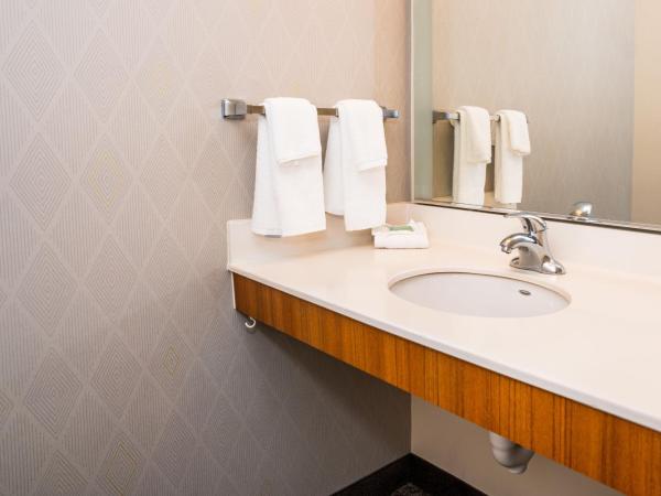 Springhill Suites by Marriott San Antonio Alamo Plaza/Convention Center : photo 4 de la chambre suite lit king-size avec canapé-lit