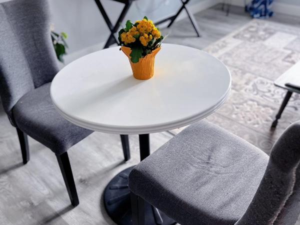 Calgary Elegant Best Garden Suite Close LRT&UC& Free Parking : photo 4 de la chambre villa - vue sur jardin