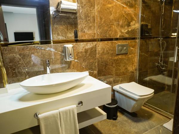 Aram Otel Business & Luxury : photo 3 de la chambre chambre deluxe