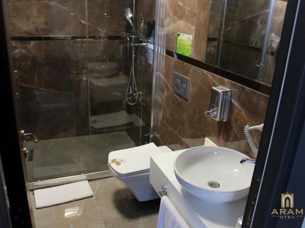 Aram Otel Business & Luxury : photo 2 de la chambre chambre double Économique