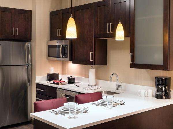 Residence Inn by Marriott Chicago Downtown/Loop : photo 3 de la chambre studio lit king-size