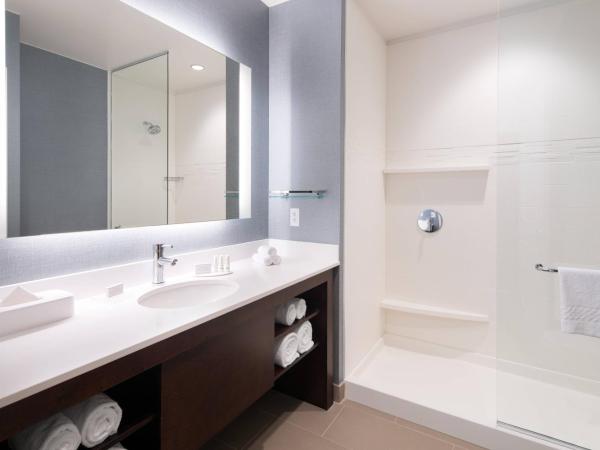 Residence Inn by Marriott Chicago Downtown/Loop : photo 4 de la chambre studio lit king-size