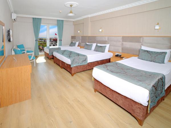 Istanbul Panorama Hotel : photo 3 de la chambre chambre familiale