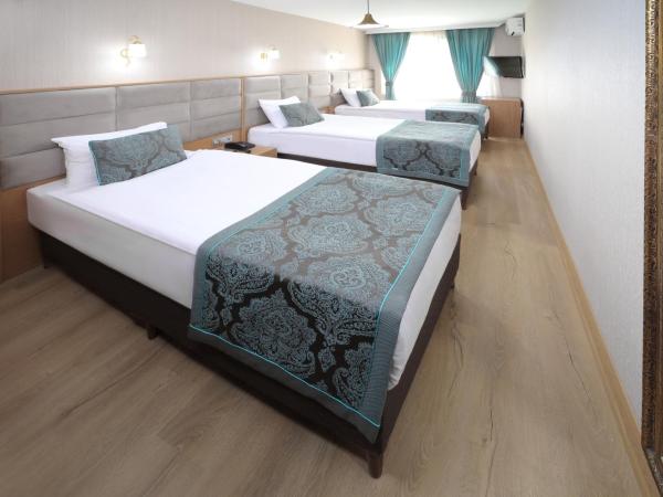 Istanbul Panorama Hotel : photo 1 de la chambre chambre triple