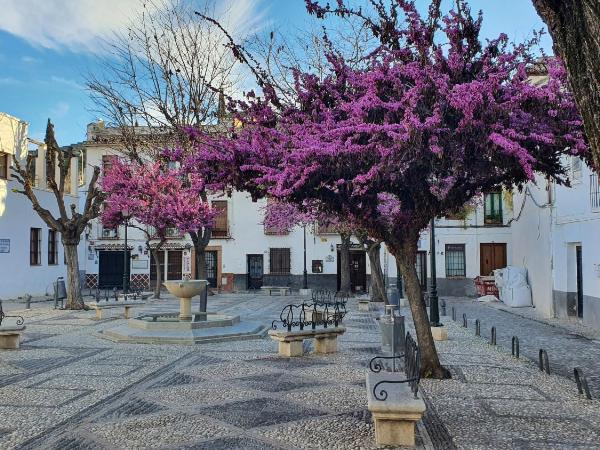 CASA MORENA MiA APARTAMENTOS : photo 7 de la chambre appartement