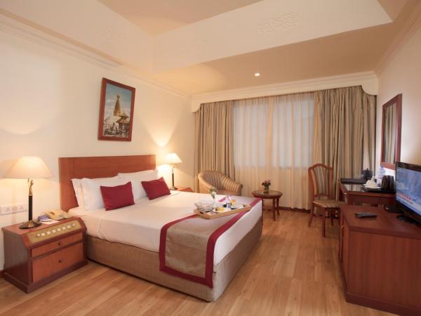 Royal Singi Hotel : photo 3 de la chambre chambre deluxe