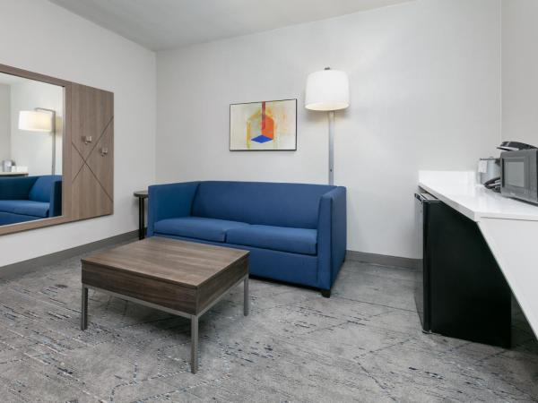 Holiday Inn Express & Suites - Dallas Park Central Northeast, an IHG Hotel : photo 3 de la chambre suite lit king-size avec canapé-lit