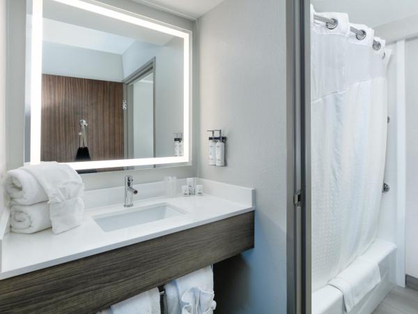 Holiday Inn Express & Suites - Dallas Park Central Northeast, an IHG Hotel : photo 2 de la chambre chambre lit king-size standard