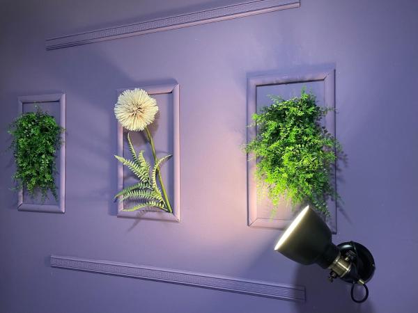 Hostel Pipištrelo : photo 2 de la chambre chambre triple standard - vue sur mer