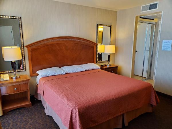 Royal Pacific Motor Inn : photo 2 de la chambre chambre lit king-size