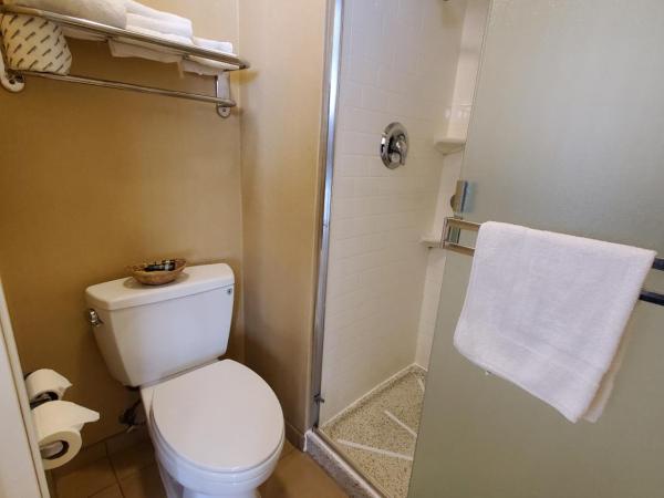 Royal Pacific Motor Inn : photo 4 de la chambre chambre lit queen-size