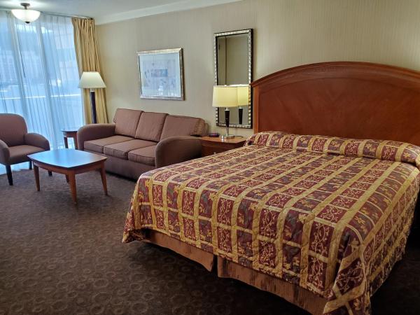 Royal Pacific Motor Inn : photo 1 de la chambre chambre lit king-size deluxe