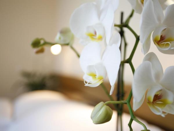 Ambassador Self Check-in Hotel : photo 3 de la chambre chambre simple standard