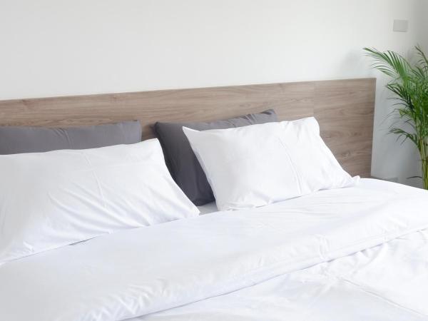 Darin Chiangmai Hotel and Residence : photo 4 de la chambre chambre double standard