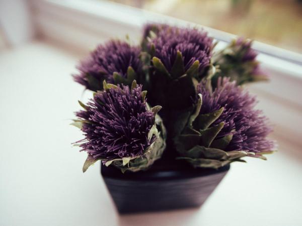 Palm Court Hotel : photo 7 de la chambre chambre double ou lits jumeaux classique