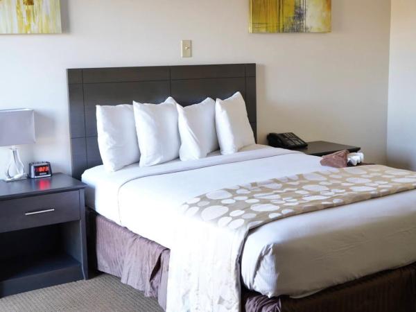 River Rapids Inn : photo 1 de la chambre chambre lit king-size - 2 adultes uniquement - sans ascenseur