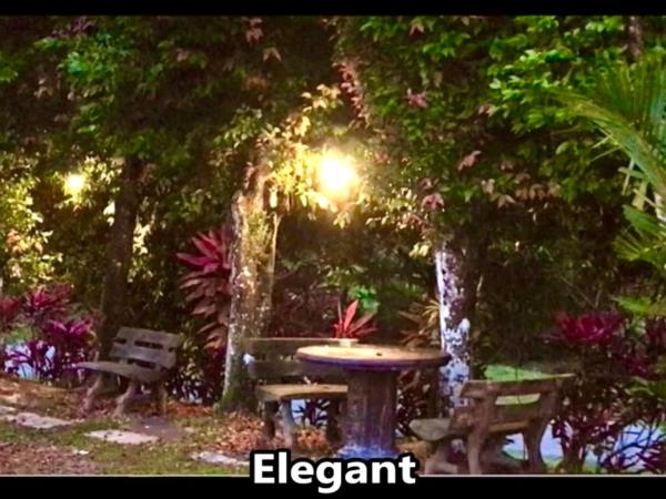 Eco Resort Beverly Hills : photo 10 de la chambre tente